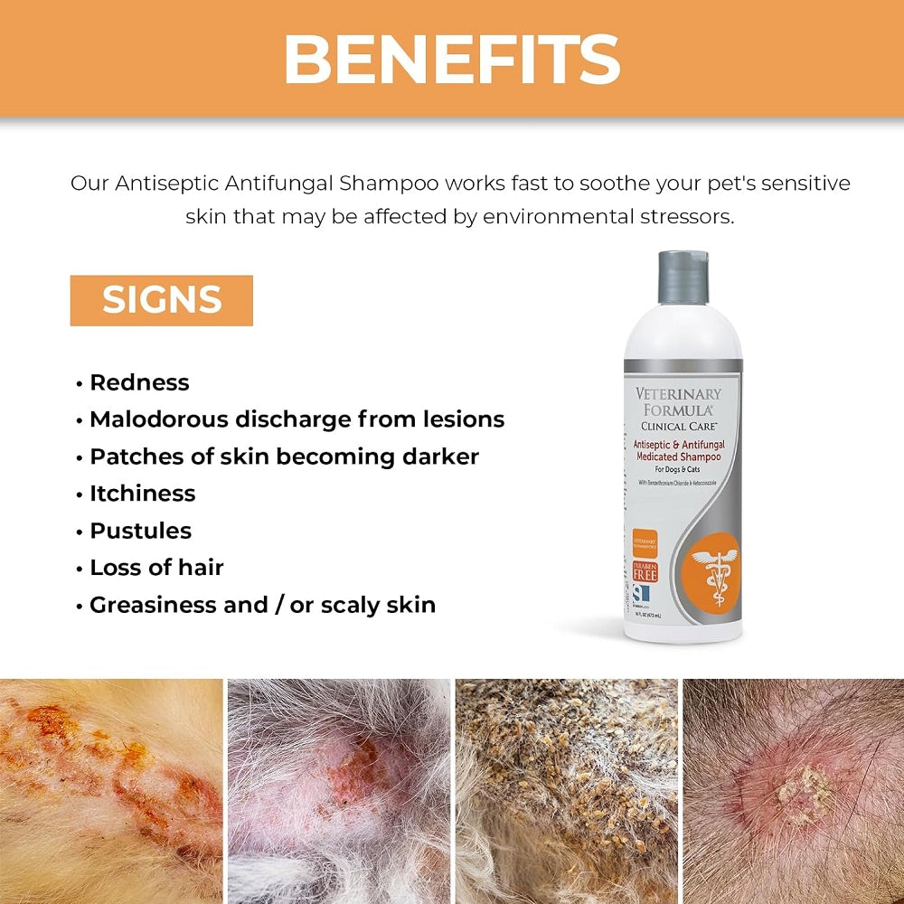 Veterinary Formula Clinical Care Antiseptic Antifungal Medicated Sha
