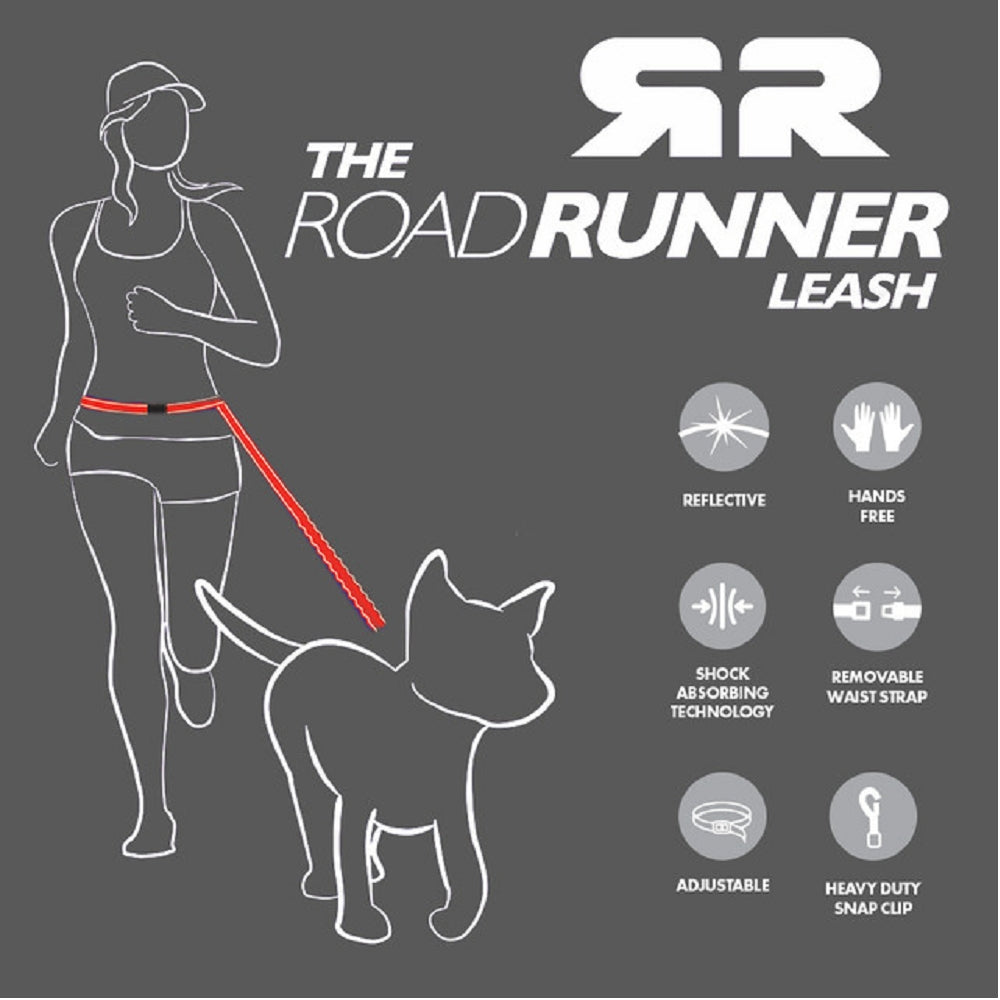 Road Runner Dog Leash