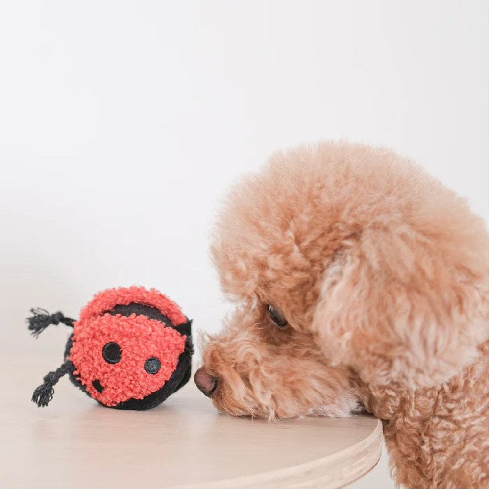 Ladybug Pop Squeaky & Bouncy Dog Toy