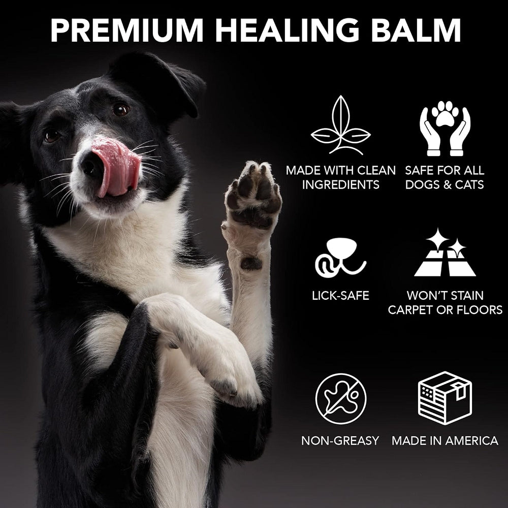 Balm for Dogs