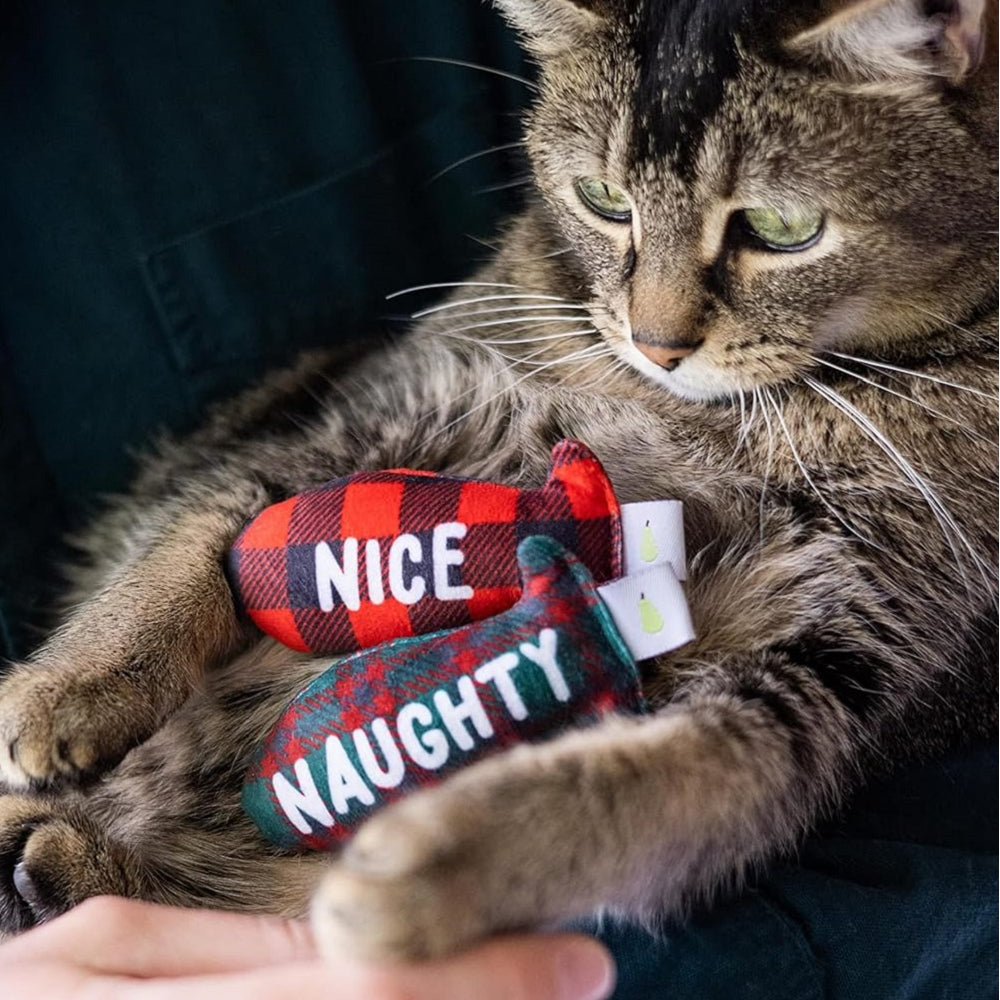 Christmas Naughty Nice Cat Toy Set
