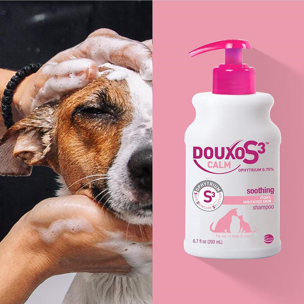 S3 Calm Shampoo for Dogs & Cats