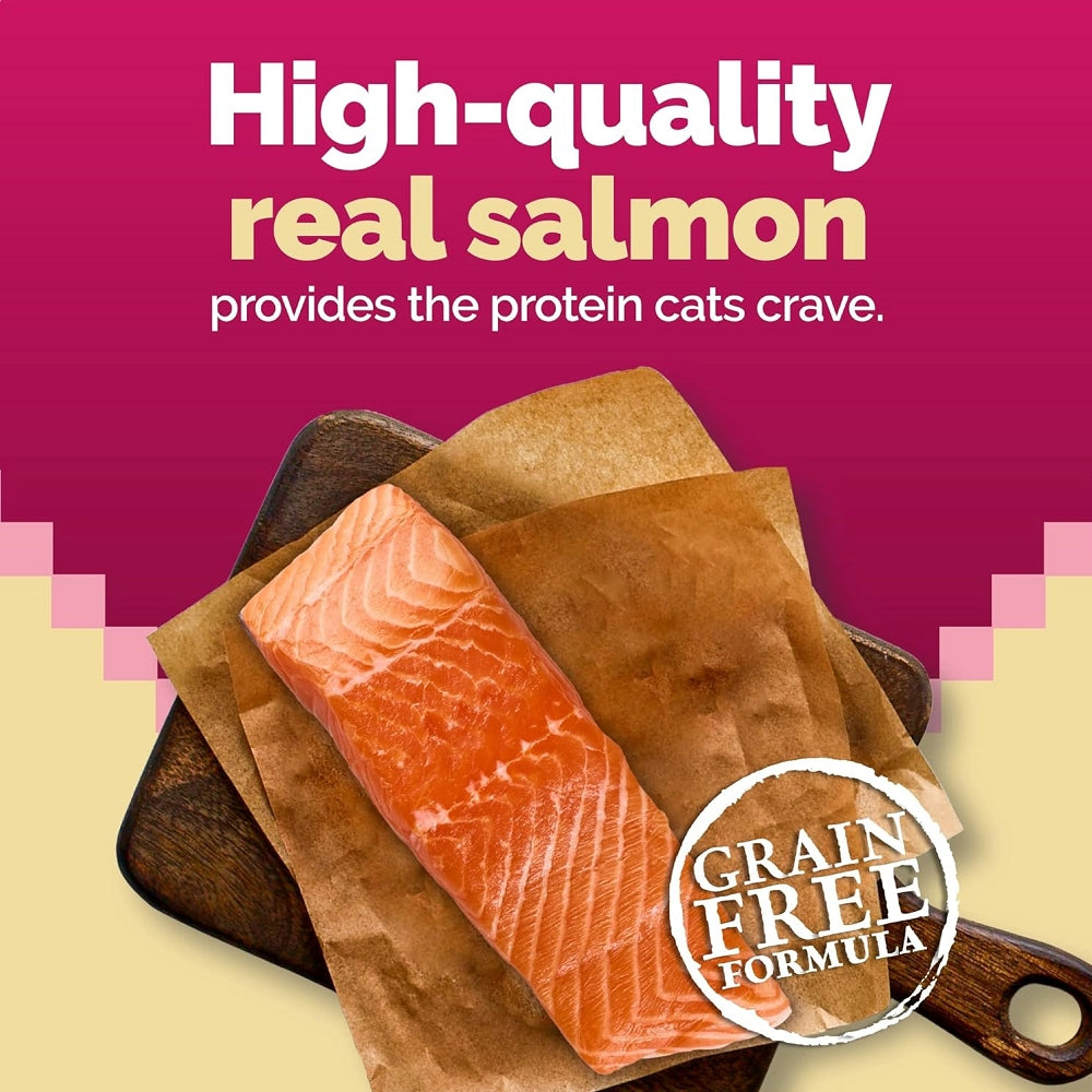 WILD Spirit Indoor Adult Salmon Recipe Cat Dry Food