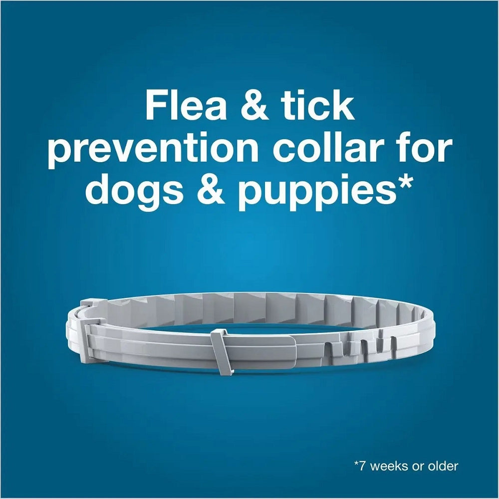 Seresto - Flea & Tick Collar for Dogs & Cats