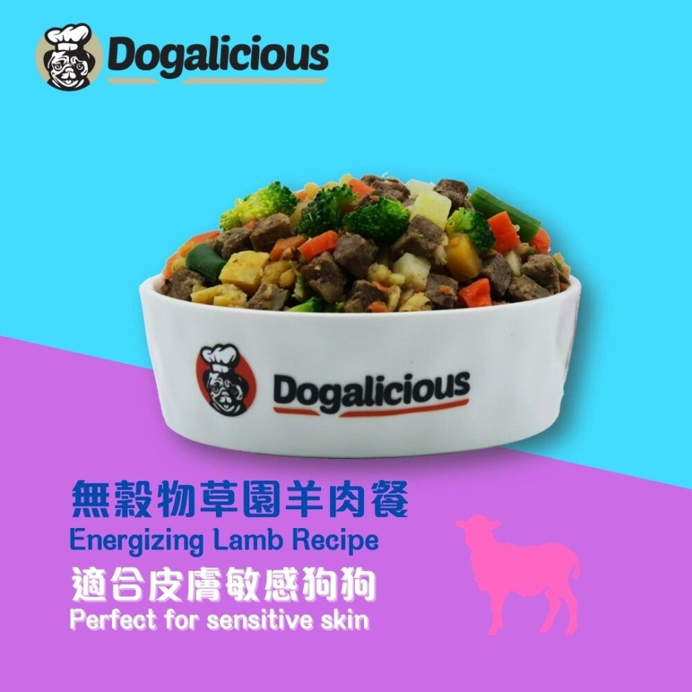 Dogalicious - Frozen Fresh Made Energizing Lamb Recipe Dog Food
