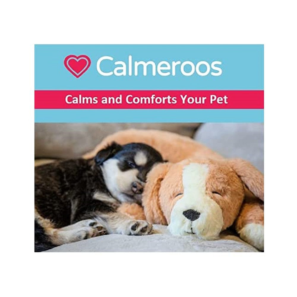 Calming Heartbeat Dog Toy
