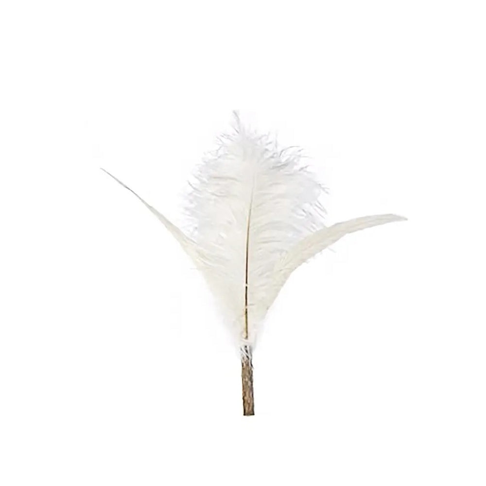 Trident White Peafowl Feather with Silvervine Cat Teaser Replacement