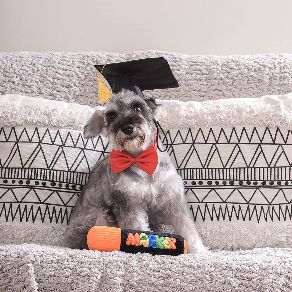 Pooch Academy - Marker Dog Plush Toy