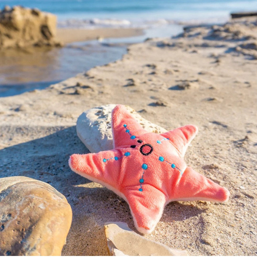 Seafood Starfish Dog Plush Toy