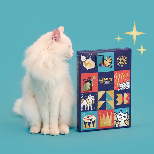 Christmas Advent Calendar for Cats
