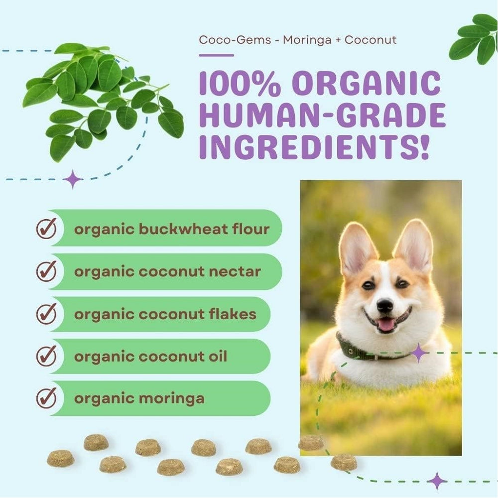 Coco-Gems Moringa & Coconut Dog Training Treats
