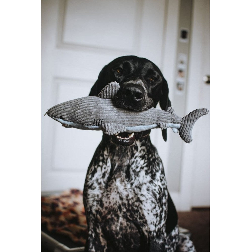 Shark Dog Plush Toy