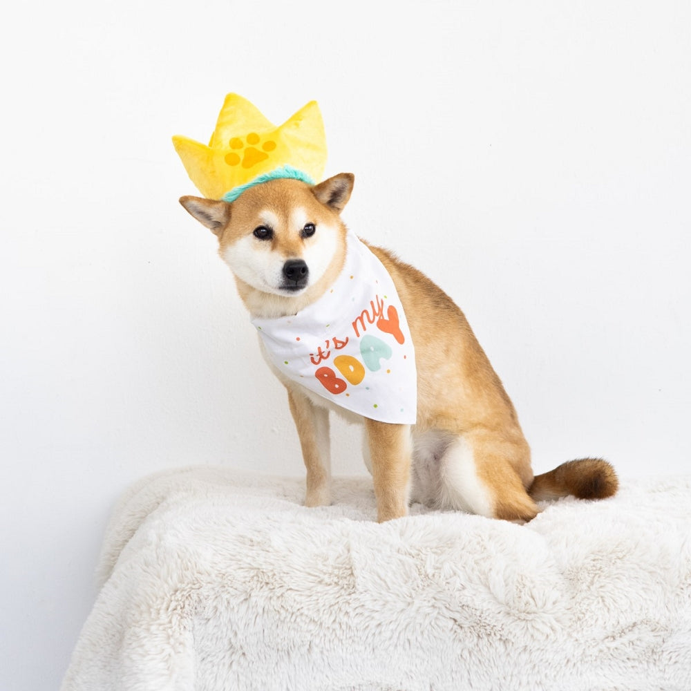 Happy Birthday Bandana Hat Set for Dogs