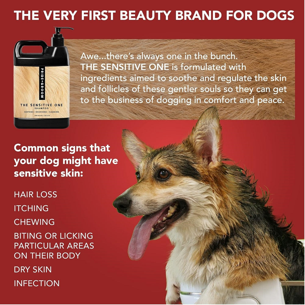 The Sensitive One Shampoo for Dogs