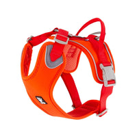 Weekend Warrior Dog ECO Harness