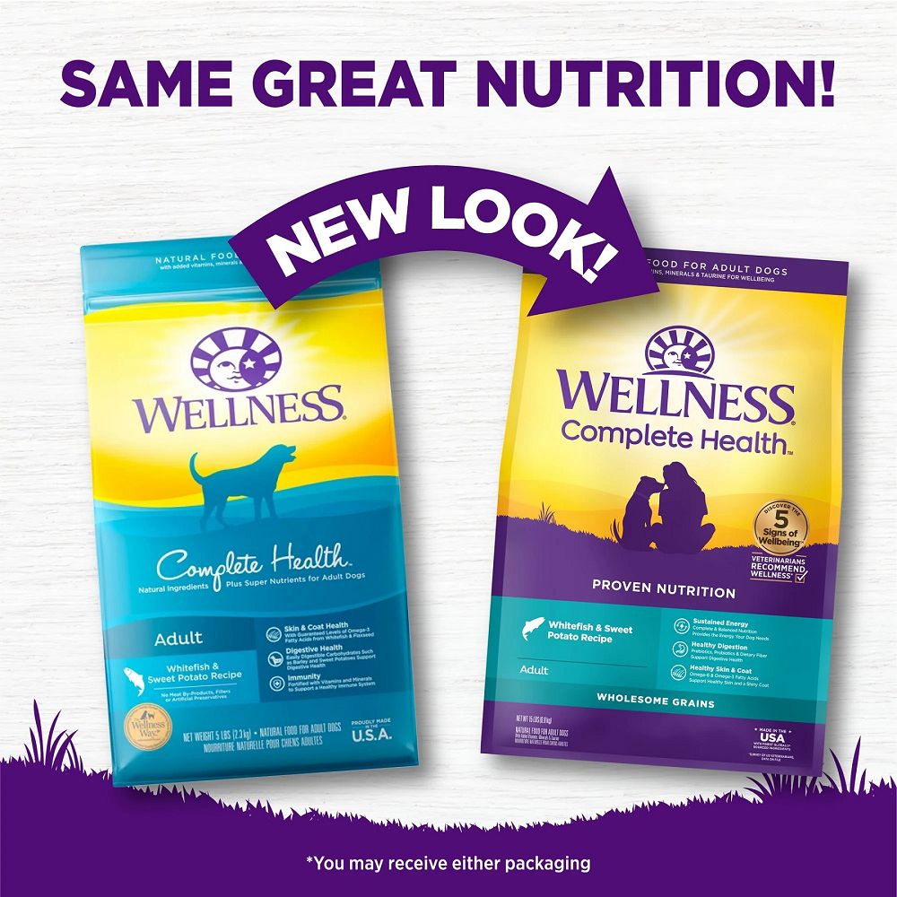 Whitefish Sweet Potato Dog Dry Food