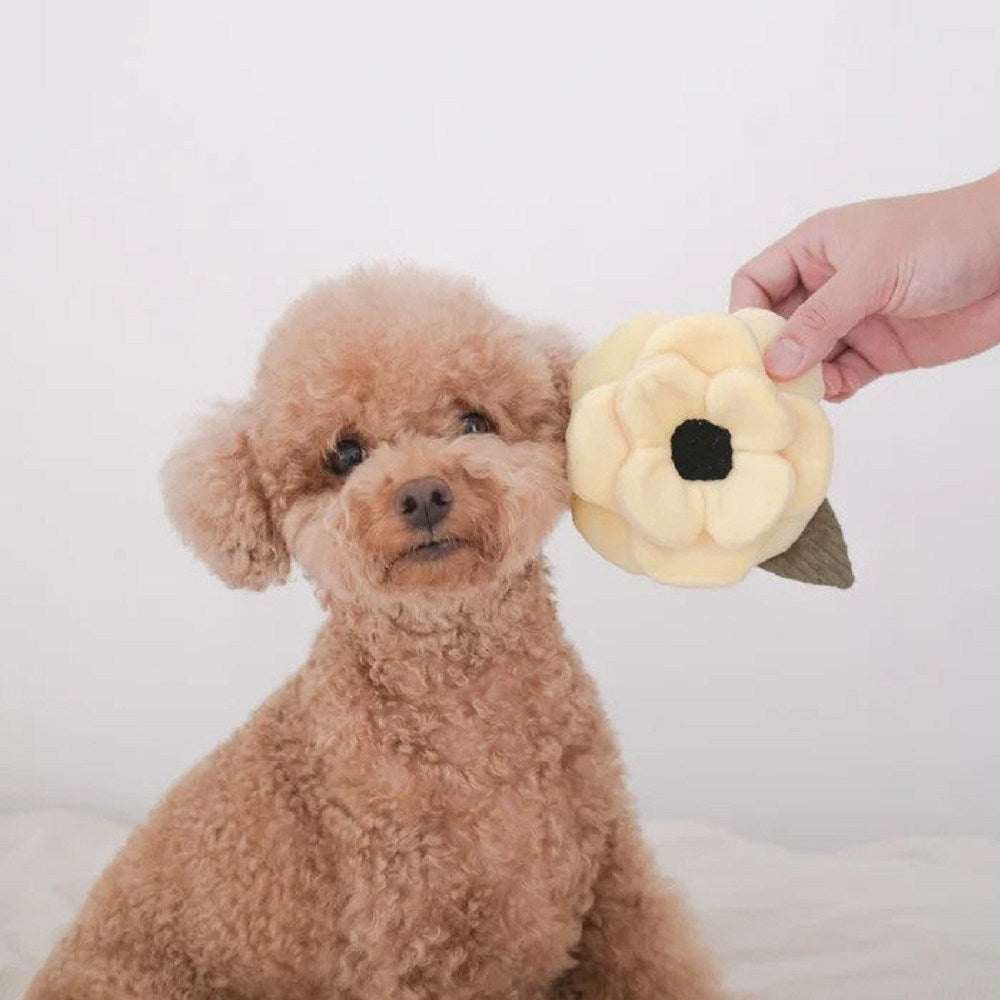 Poppy Snuffle & Squeaky Dog Toy