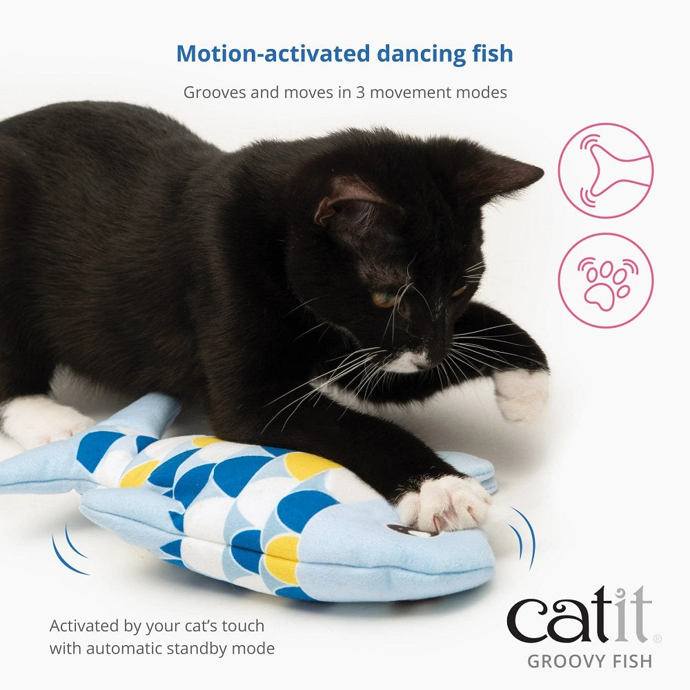 Groovy Fish Cat Toy With Catnip