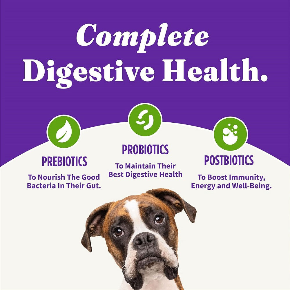 Holistic Vegan Plant-Based Recipe with Superfoods Dog Dry Food