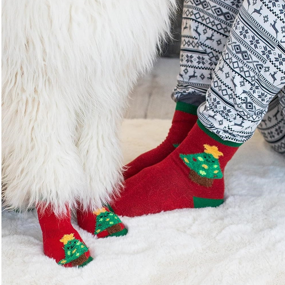 Christmas Tree Human and Dog Sock Set