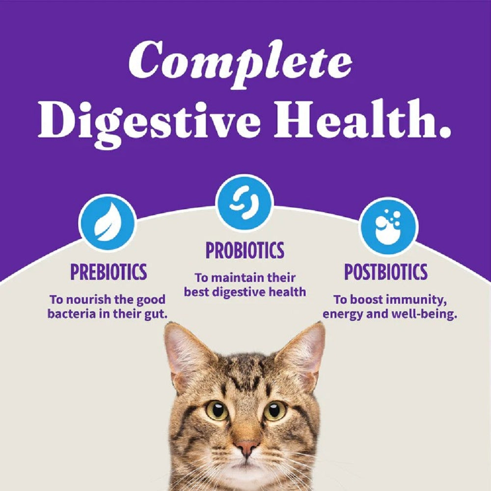 Holistic Healthy Grains Whitefish Sensitive Stomach Cat Dry Food