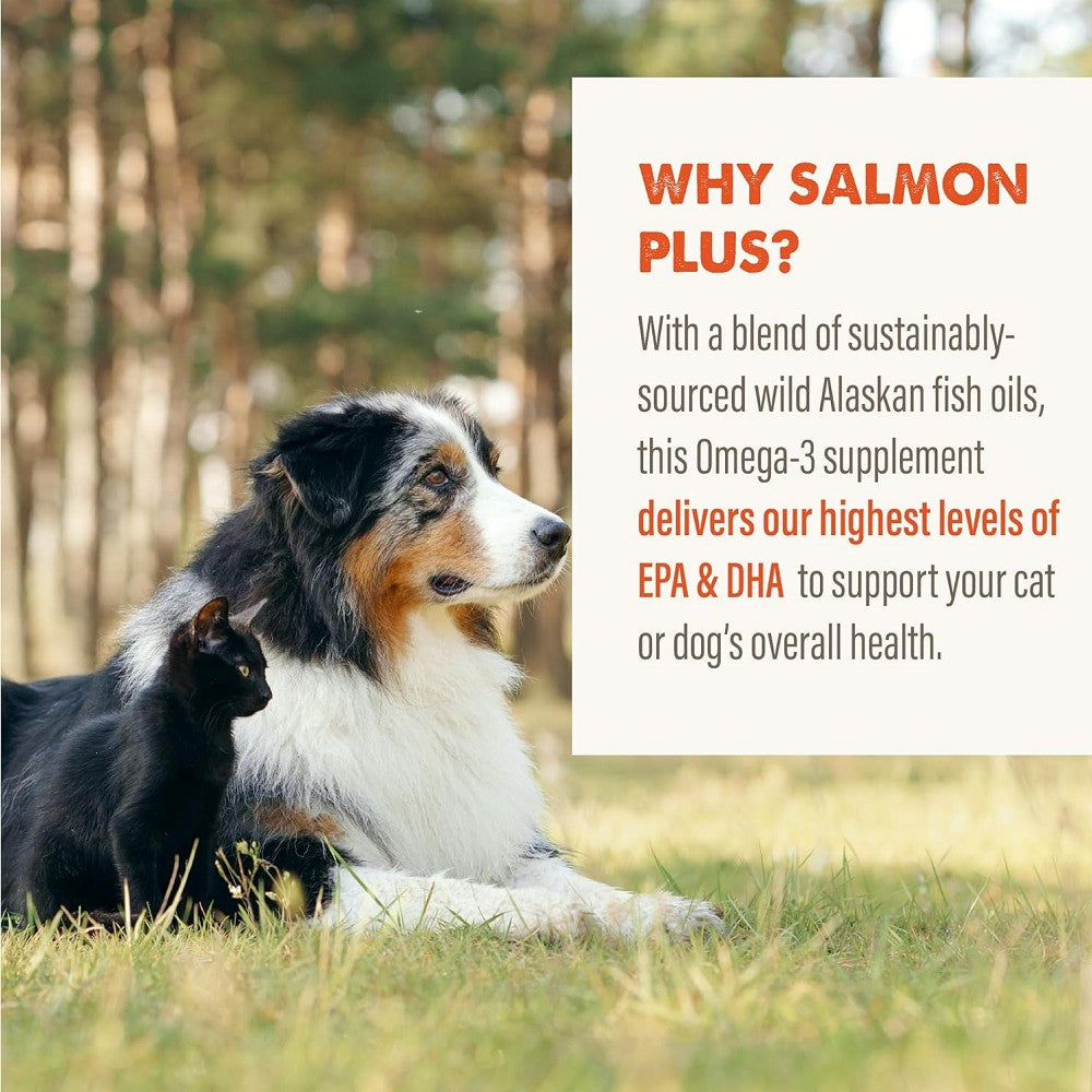 Salmon Oil Food Supplement for Dogs & Cats