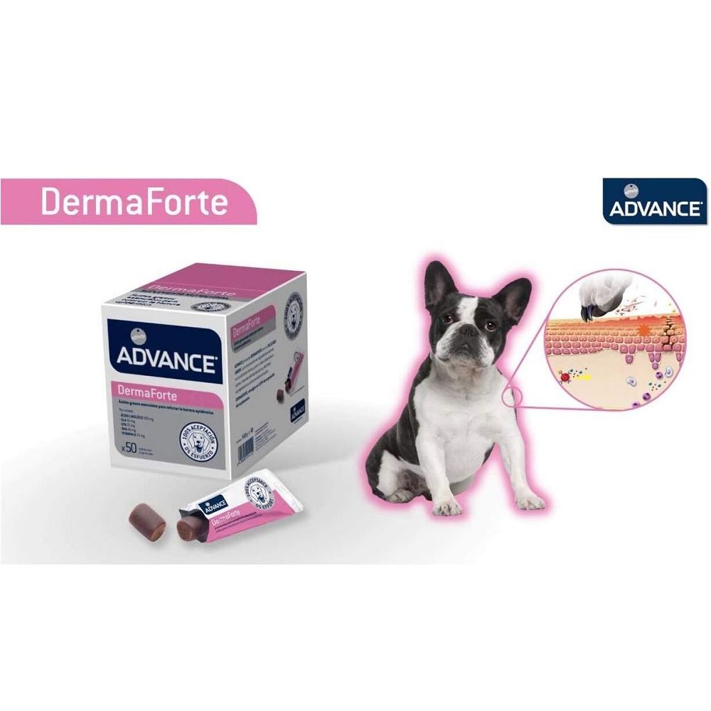 Veterinary Diets - Derma Forte Supplement for Dogs