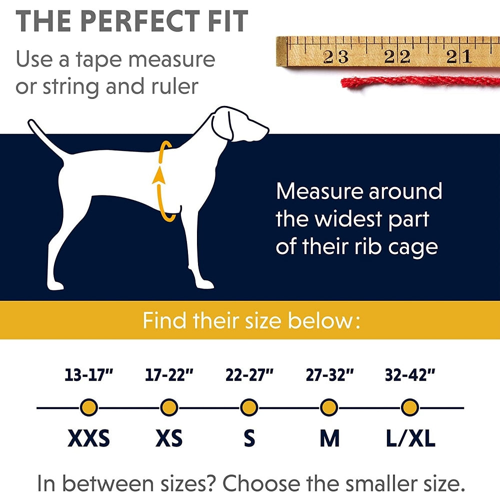 Web Master Dog Harness