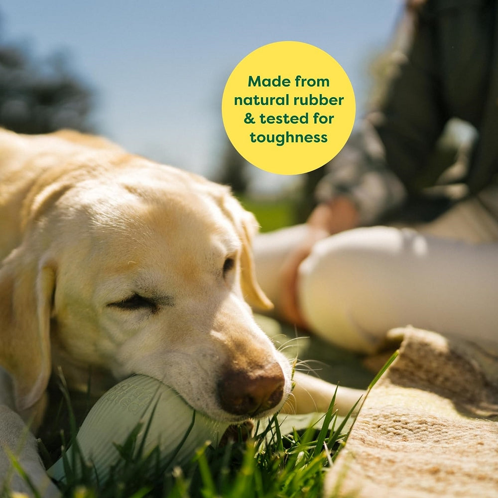 Natural Rubber Dog Treat Toy