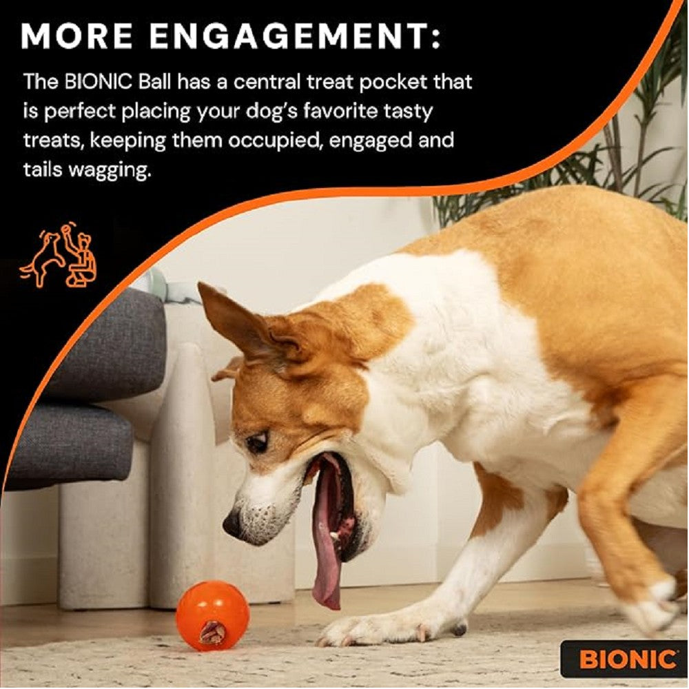 Bionic Ball Dog Toy