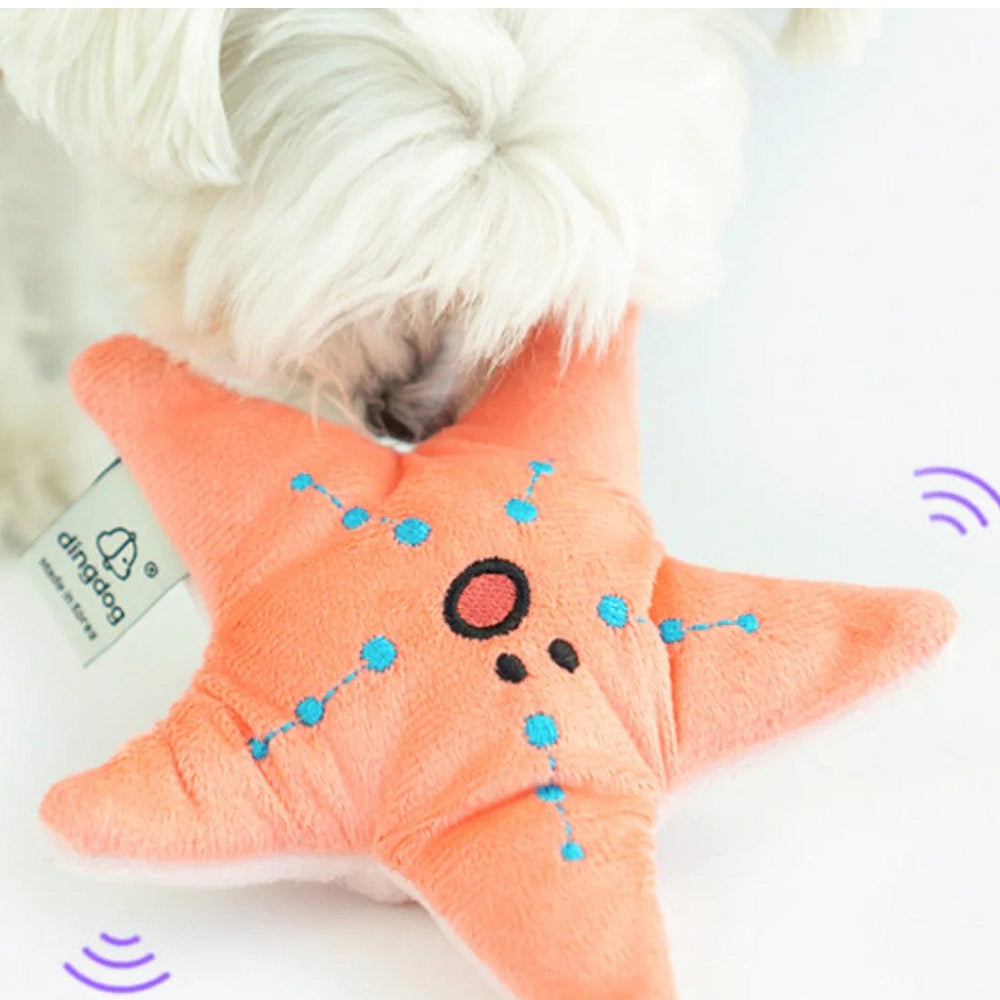 Seafood Starfish Dog Plush Toy