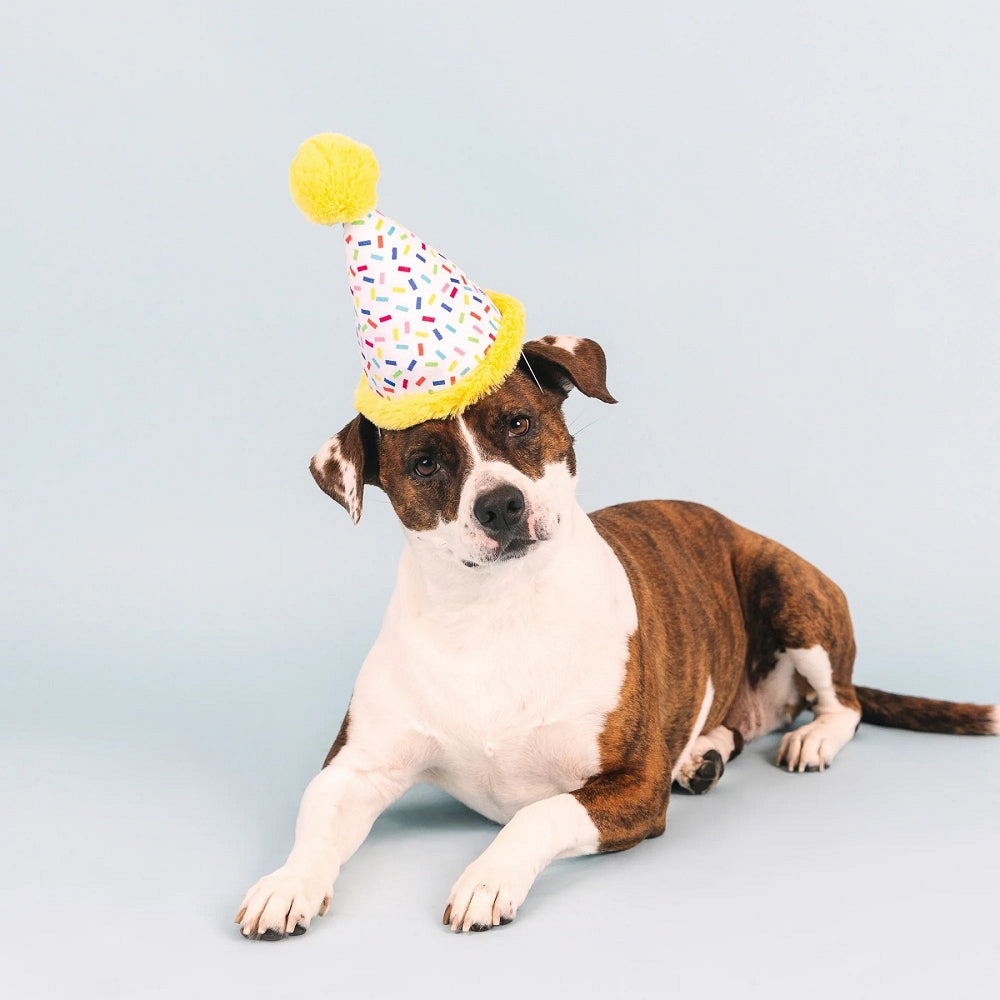 Birthday Hat Dog Plush Toy