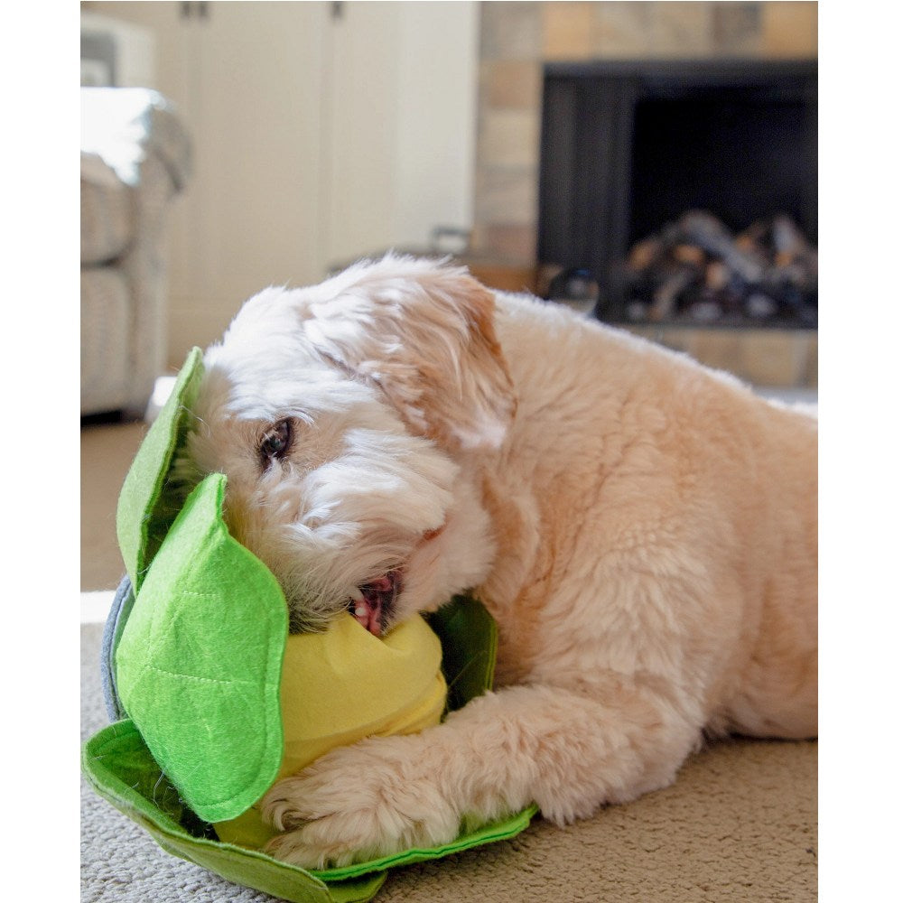 Cabbage Dog Snuffle Toy