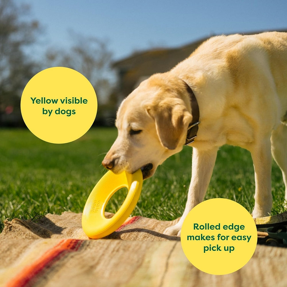 Natural Rubber Dog Flyer Toy