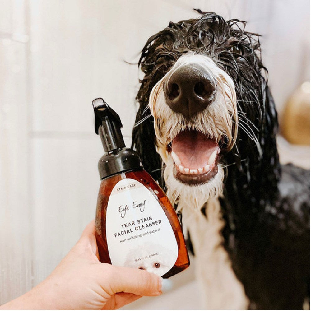 Eye Envy Tear Diy Dog Tear Stain Remover Eye Stain Remover Shop