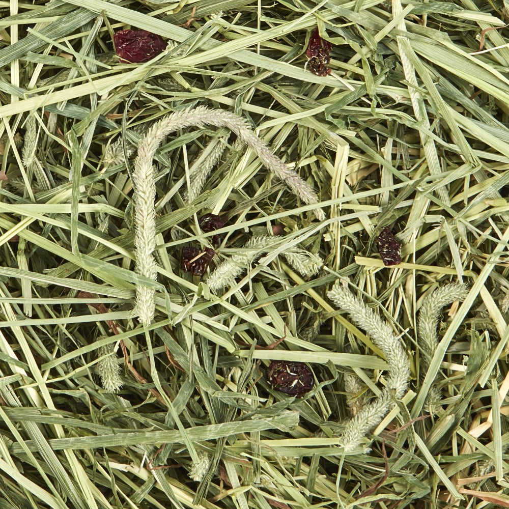 Timothy Hay Plus with Cranberries Small Animal Food