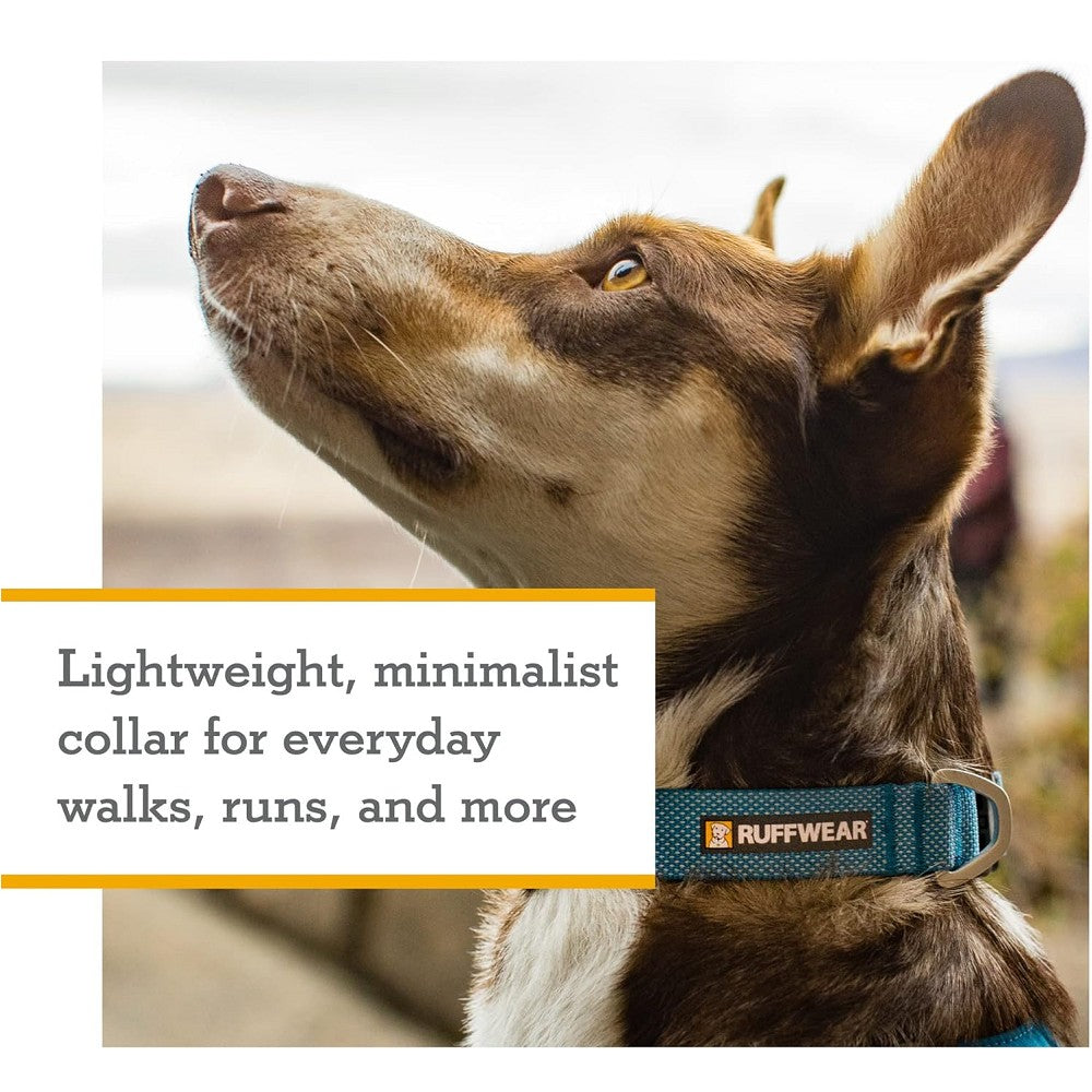 Hi & Light Dog Collar