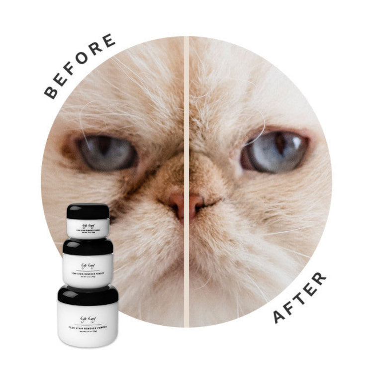 Eye Envy Tear Diy Dog Tear Stain Remover Eye Envy For Dogs Eye