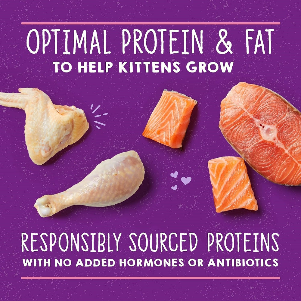 Carnivore Cravings  Kitten Chicken & Salmon 100% Complete Balance Diet Recipe Wet Cat Can