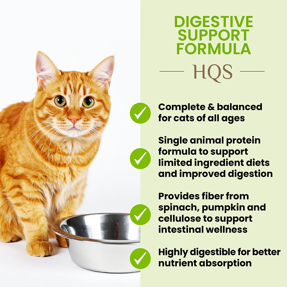 Digestive Support Formula - Spinach In Gravy Cat Can