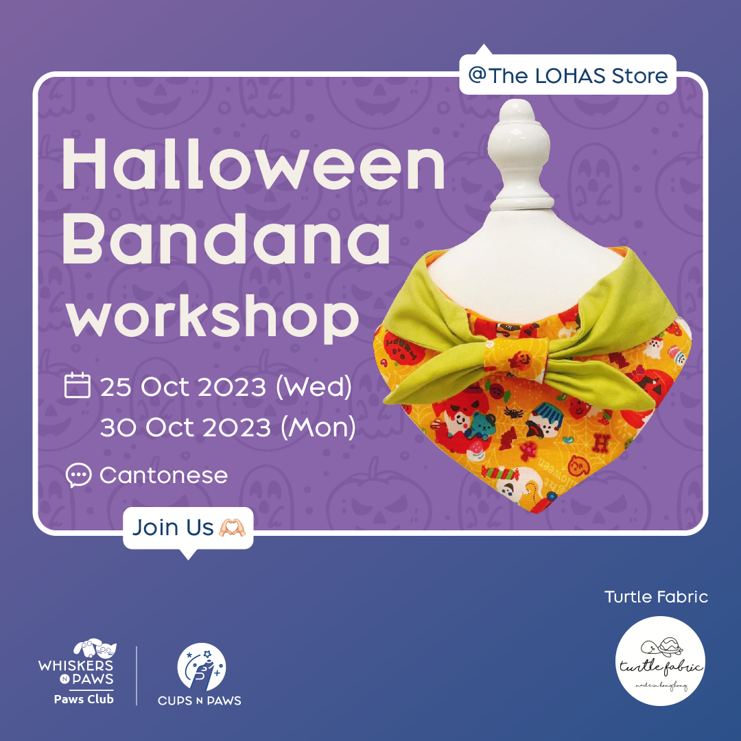 Halloween Bandana Workshop