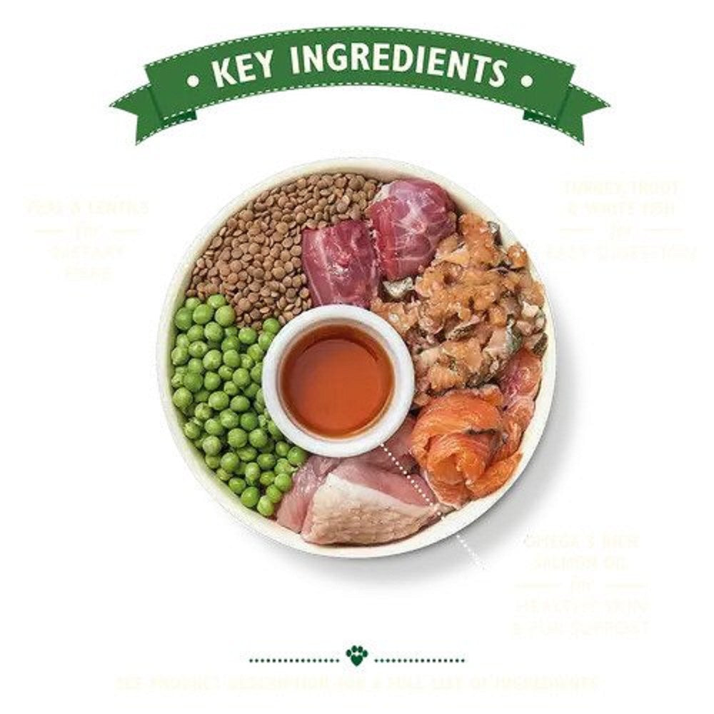 Turkey & Trout Senior Dog Dry Food