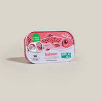 Silky Mousse Salmon Tasty Meal Topper for Cats