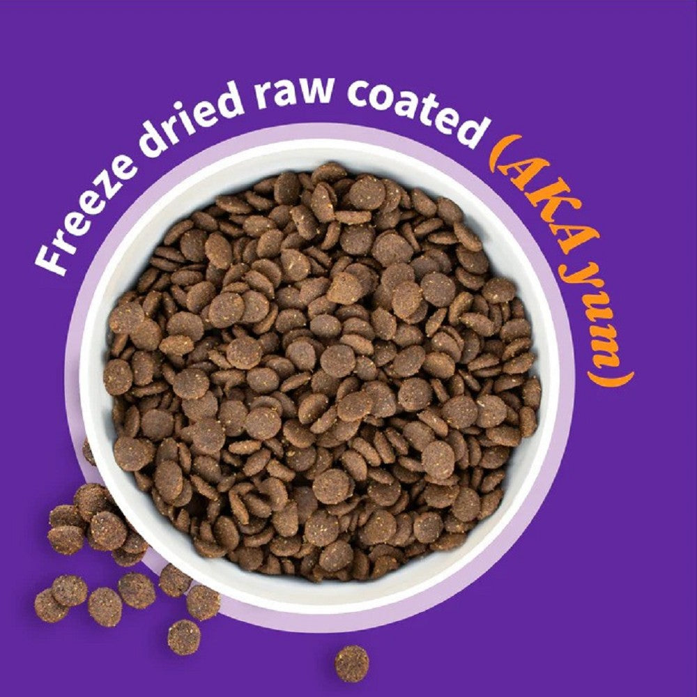 elevate Grain Free Freeze-Dried Raw Coated Adult Salmon & Sweet Potato Recipe Dog Dry Food