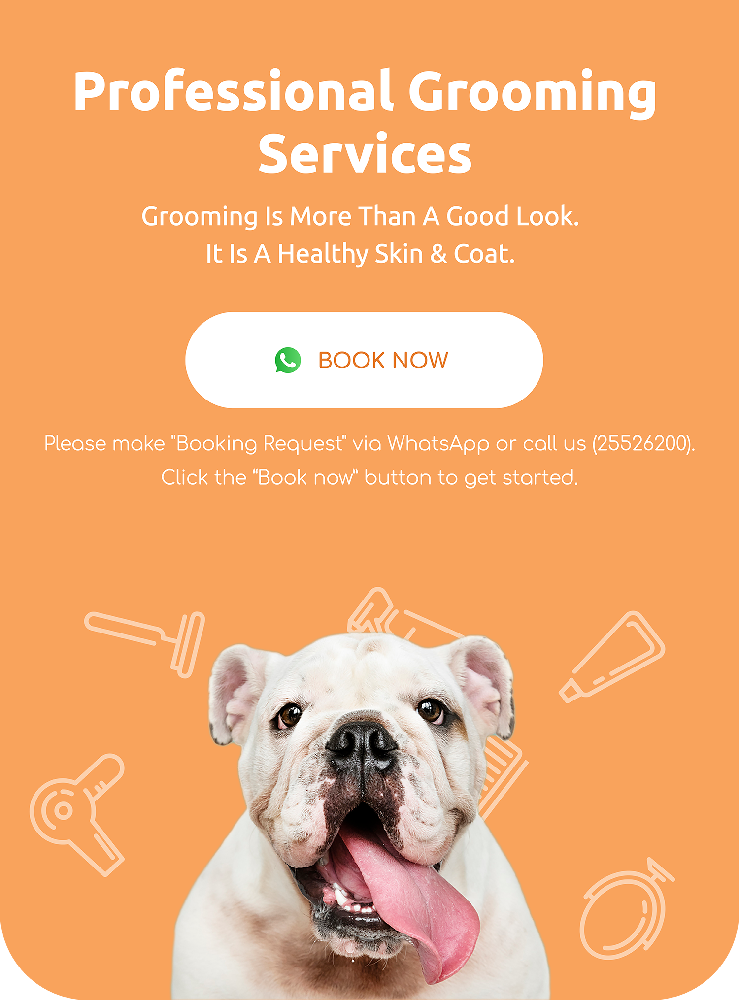 Do Dog Groomers Cut Whiskers