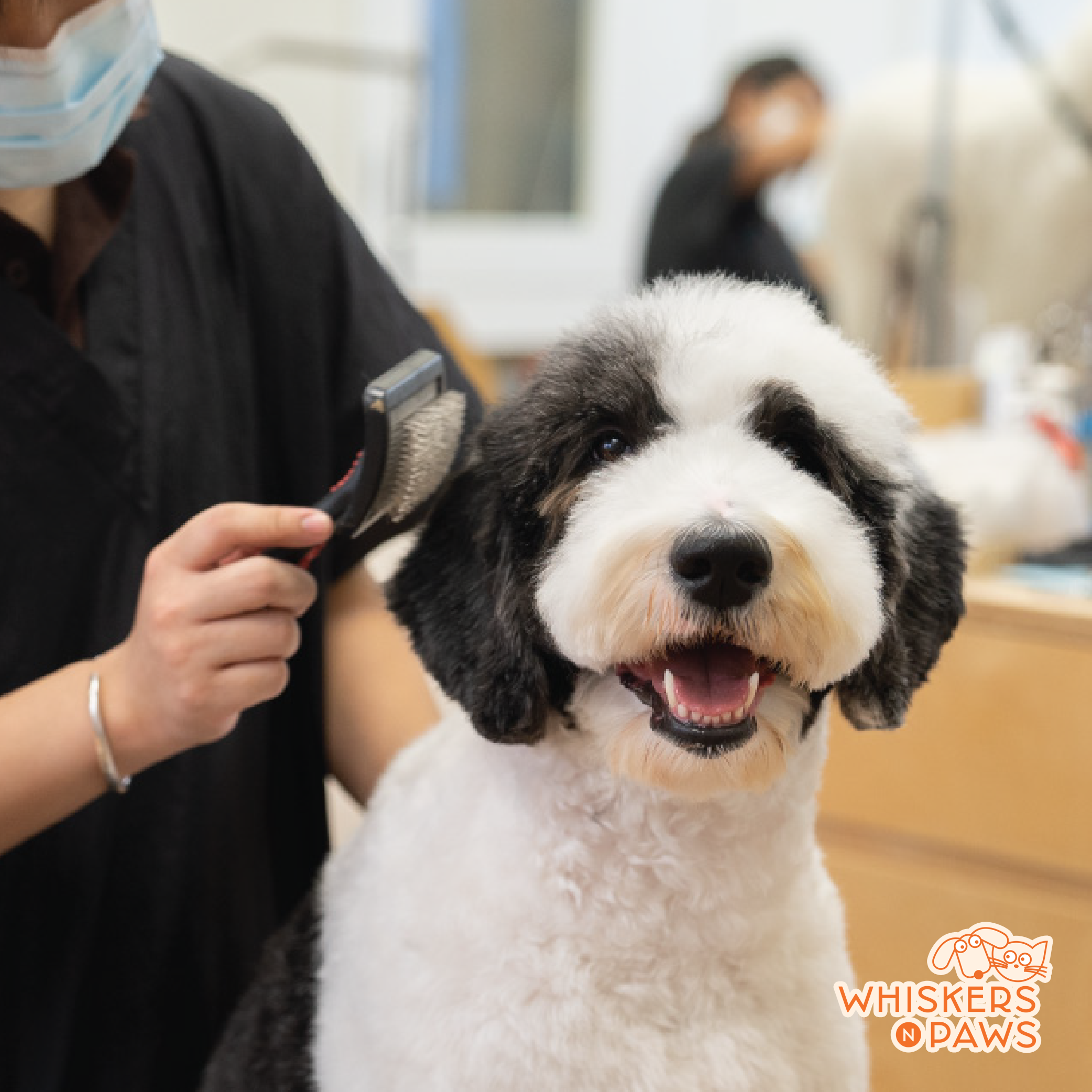 Grooming Package - Puppy - ALC