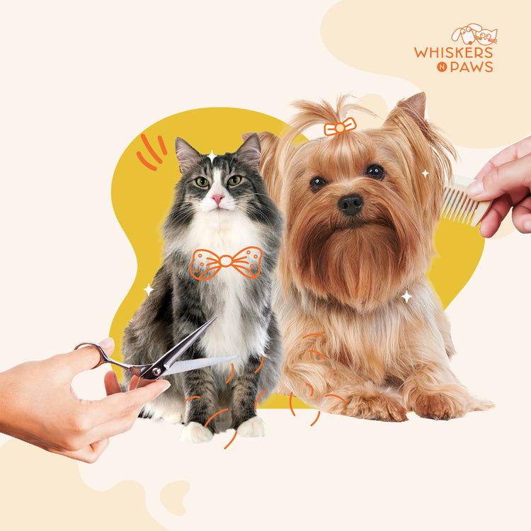 Whiskers N Paws - Pet Grooming Services
