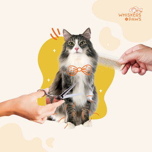 Whiskers N Paws - Pet Grooming Services for Cats