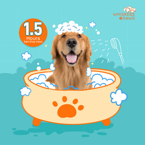 Whiskers N Paws - Self-Dog Wash - 1.5 Hours