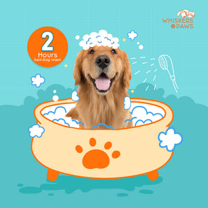 Whiskers N Paws - Self-Dog Wash - 2 Hours